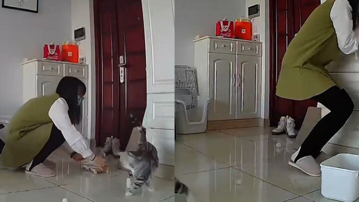 A girl who was afraid of cats helped her best friend feed the cat. She was so scared that she scream