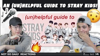 NSD REACT | An (Un)helpful guide to stray kids! (스트레이 키즈)