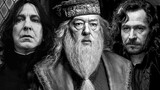 [HP Mixed Cut] The three most important men in Harry Potter's life, every frame is tearful, every wo