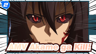 [AMV Akame ga Kill!] Kehancuran… Dibunuh Satu Per Satu!_2