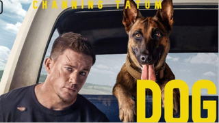 Dog.2022.720p