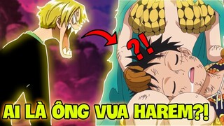 NHIỀU VỢ NHẤT ONE PIECE?! | NHỮNG KẺ CÓ DÀN HAREM KHỦNG NHẤT!