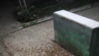 LARON KRIUK GAIS