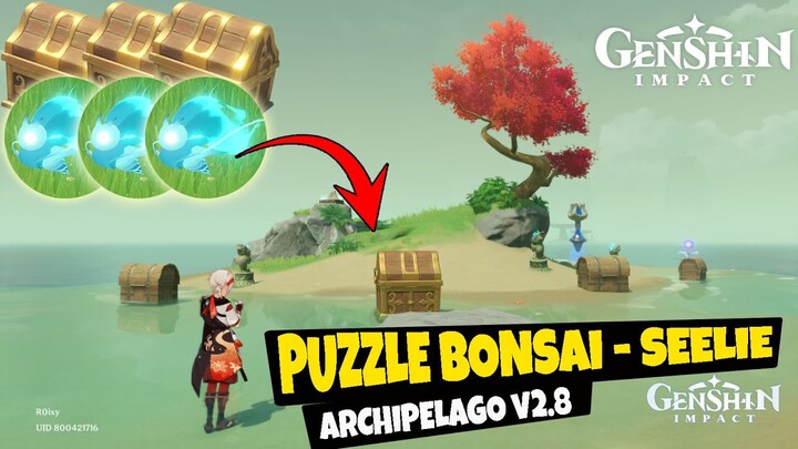 1 Precious & 3 Common Chest - Guide Puzzle Bonsai Seelie Archipelago v2.8 Genshin Impact