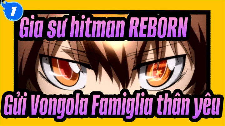 [Gia sư hitman Reborn AMV] Kỷ niệm 15 năm của REBORN - Gửi đến Vongola Famiglia thân yêu_1