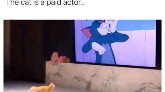 paid actor