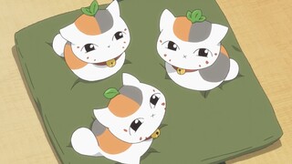 Three child-like cat teachers, twice as cute, too cute to be overwhelmed