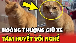 Hoàng Thượng làm BẢO VỆ GIỮ XE cho khách rất TÂM HUYẾT tại Đà Lạt 😂 | Yêu Lu