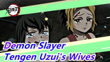 [Demon Slayer] Tengen Uzui's Wives Are So Cute