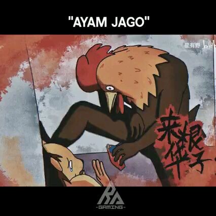 "AYAM JAGO"