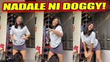 INAMOY LANG NAMAN NI DOGGY! | Pinoy Funny Videos Compilation 2024