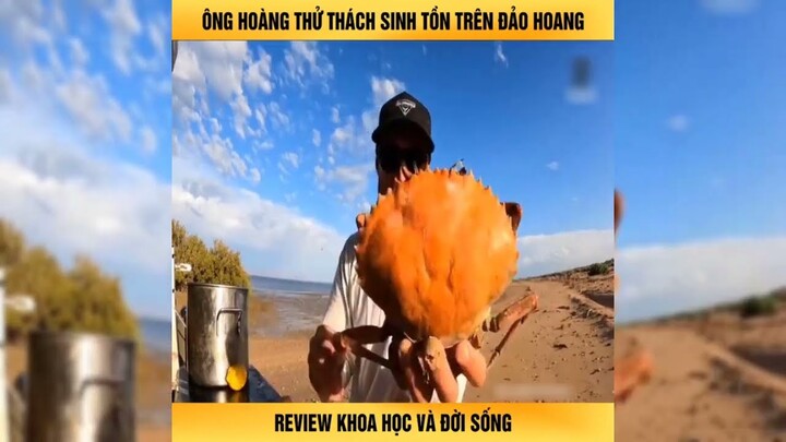 Chàng Trai Ra Đảo Hoang Bắt Cua  Siêu To Và Câu Cá Ngừ -Review Con Người Và Cuộc Sống