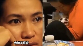 那些曾经说 敢养宠物就要把他们丢出去的爸爸妈妈们