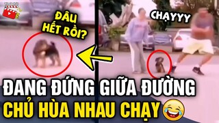 Tin 3 Phút Hài | Tổng hợp tình huống 'HÀI ĐỘNG VẬT' không cười không lấy tiền P42