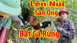 trứng gà rừng lần đầu được nhìn thấy cả tổ