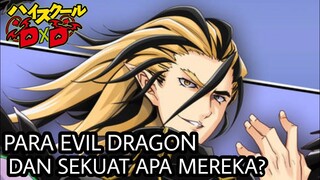 PARA EVIL DRAGON DAN SEKUAT APA MEREKA? | HIGHSCHOOL DXD