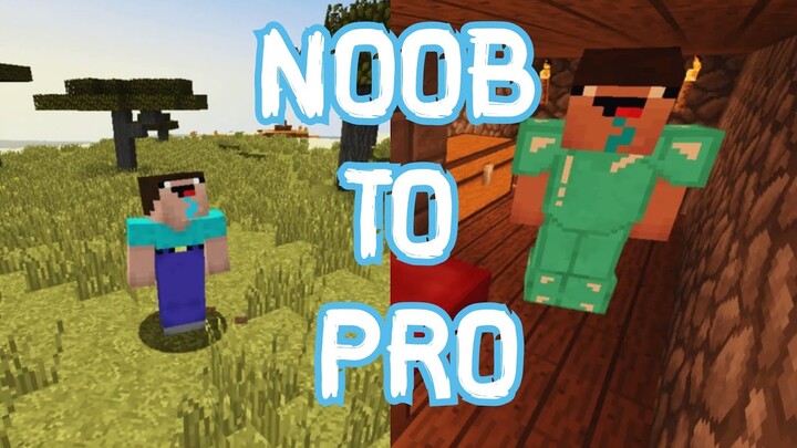 NOOB TO PRO | MINECRAFT STORY 2020!