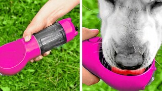 Amazing And Funny Pet Gadgets And Hacks