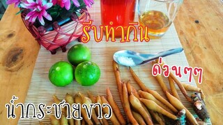 เครื่อง​ดื่มสมุนไพร​กระชาย​ขาว​น้ำผึ้ง​มะนาว​ ต้านโควิด​รีบ​ทำกิน​ด่วนๆ