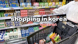 shopping in korea vlog 🇰🇷 grocery food haul with prices 🥬 snacks unboxing & cooking