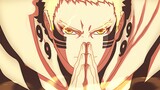[Anime]MAD·AMV: Kompilasi Anime Untuk 205 Penggemarku
