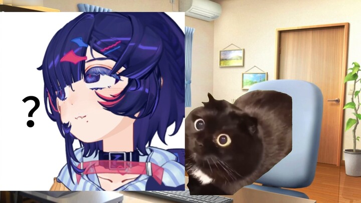 [Cat meme] Live2D's amazing modeling: I bought a shocking drama with 1k6