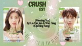 遇到你 Meeting You by  Lin Yan Jun  & Wan Peng - Crush OST Opening Song