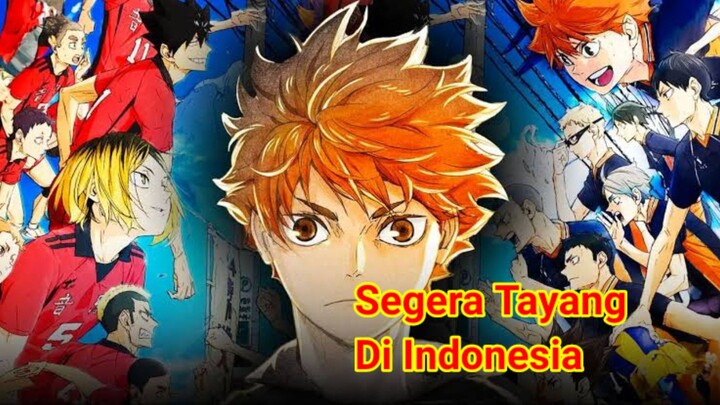 Rahasia Terungkap!! Kejutan Di Balik Tim Karasuno|| Haikyuu Musim ke 4