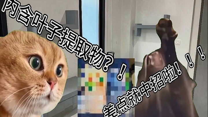 【猫meme】在泰留学生去便利店误买到含DM提取物饮料 差点中招【泰猫日记】#2