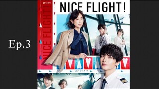 Nice Flight EP 3