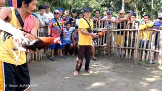 namartida kami malaki manok namin ,, isang babaw kanan at isang babaw kaliwa