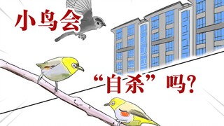 用一个小改变来拯救“愤怒的小鸟”！对了，你知道今天是什么日子吗？