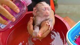 Routine Bathing!! Tiny adorable Luca tries to keep calm when Mom takes a bath for him