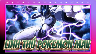 [Linh thú Pokemon] Suicune chuyển đi mất, đây chính là 1 Mon quý giá đích thực