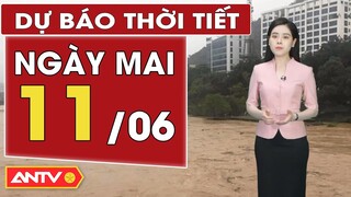 Dự báo thời tiết ngày mai 11/6:Bắc Bộ mưa giảm gia tăng nhiệt, Nam Bộ mưa rào và dông rải rác | ANTV