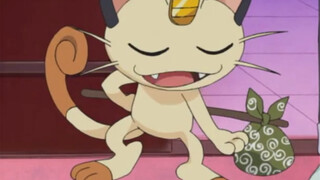 Musashi dan Kojiro bertemu Meowth untuk pertama kalinya!