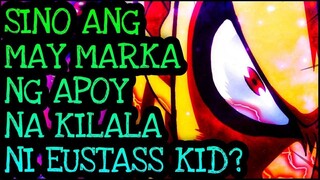 SINO ANG TINUTUKOY NI EUSTASS KID NA MERONG APOY NA MARKA?! | One Piece Tagalog Analysis