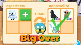 Trading Only Snow owl | +Giveaway | Roblox Adopt Me!