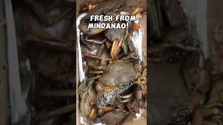 Crabs! Fresh from Mindanao! #shorts #crabs #seafood