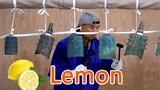 Melantunkan "Lemon" dengan BianZhong Berusia 2500 Tahun