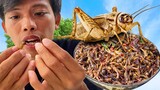 Yummy Cooking Crickets Best Recipes