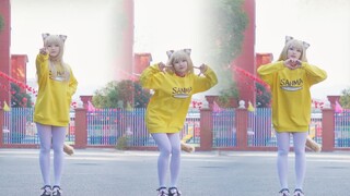 ผงถั่วเหลืองคืออะไร? [วัฏจักรความรัก]