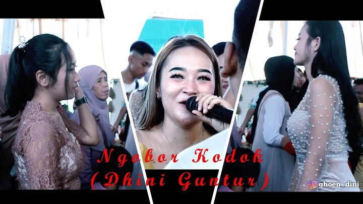Ngobor Kodok - Dhini Gintur || GDC Live Ujung Jaya