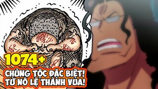 Oda ĐÃ TIẾT LỘ sự thật RẤT TÀN NHẪN VỚI Kuma - One Piece 1074+