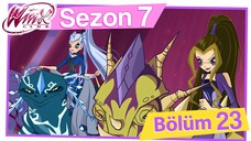 Winx Club - Sezon 7 Bölüm 23 - Alfea'nın Sırrı