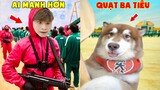 Thú Cưng Vlog | Ngáo Husky Troll Bố #26 | Chó husky thông minh vui nhộn | Funny pets smart dog