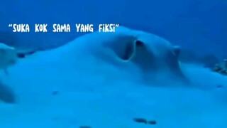 suka kok sama yg fiksi