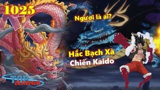 [One Piece 1025]. Kaido SỐC: “Ngươi là ai?” – Luffy bật Gear 4 Snake Man!