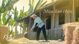 Mùa Lúa Chín Miền Tây - Khói Lam Chiều tập 25 | Amazing harvesting process on rice field in Vietnam
