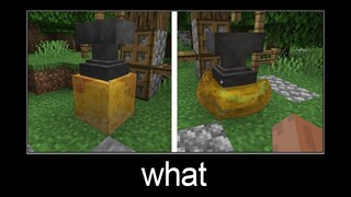 Minecraft wait what meme part 160 (realistic honey)